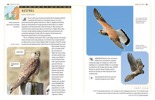 An ID Guide to Garden Birds of Britain & Northwest Europe