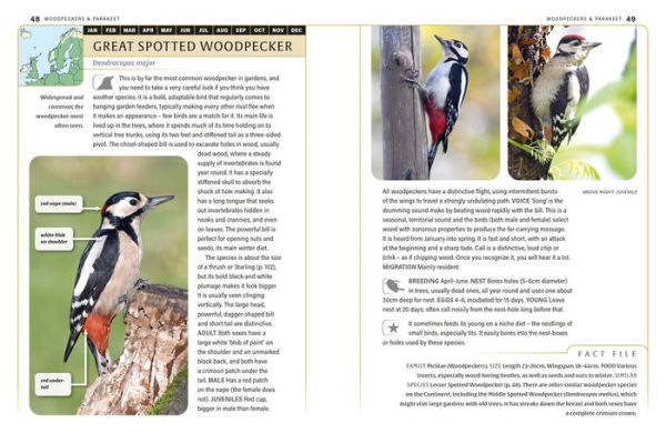 An ID Guide to Garden Birds of Britain & Northwest Europe