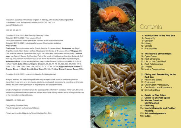 An Underwater Guide to the Red Sea