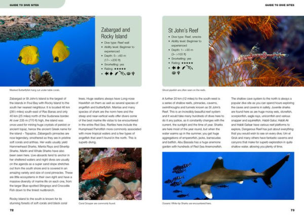 An Underwater Guide to the Red Sea