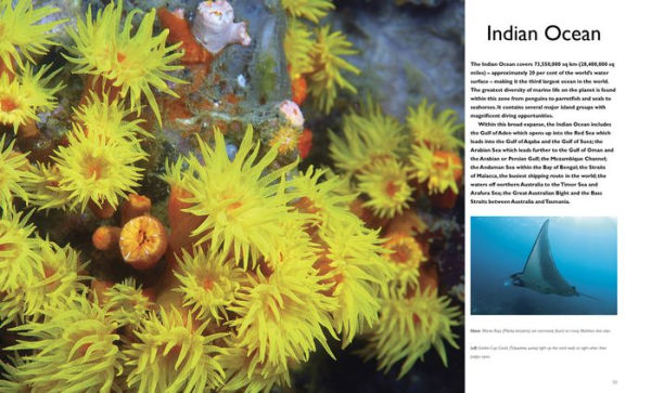 The World's Best Tropical Dive Destinations