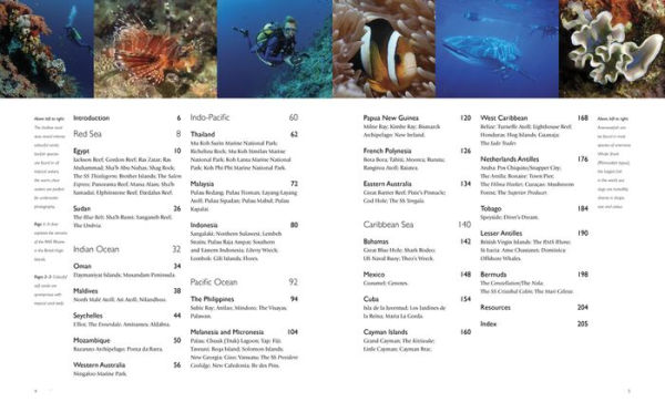 The World's Best Tropical Dive Destinations