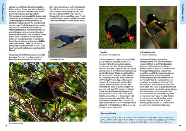 The 50 Best Birdwatching Sites in New Zealand