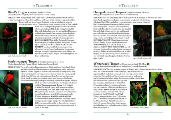 A Naturalist's Guide to the Birds of Borneo