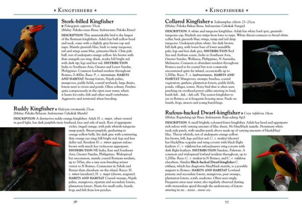 A Naturalist's Guide to the Birds of Borneo