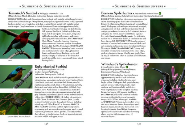 A Naturalist's Guide to the Birds of Borneo