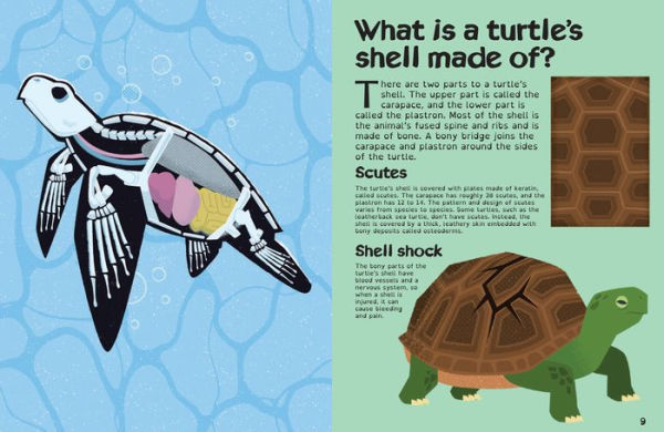 Animal Armour