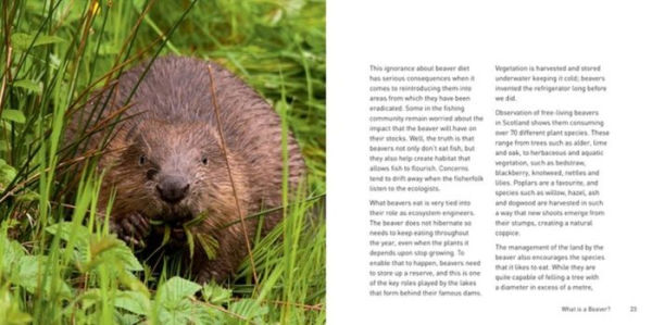 The Beaver Book