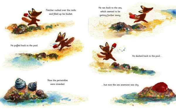 Fletcher and the Rockpool