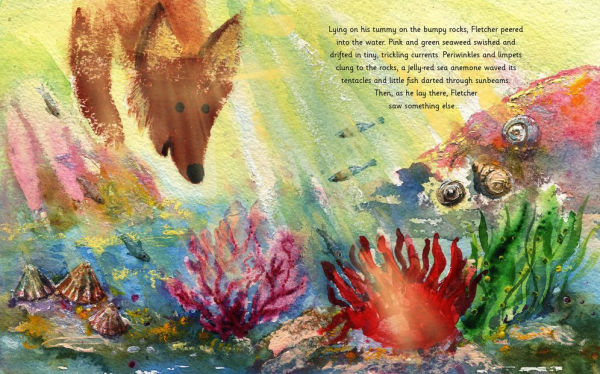 Fletcher and the Rockpool