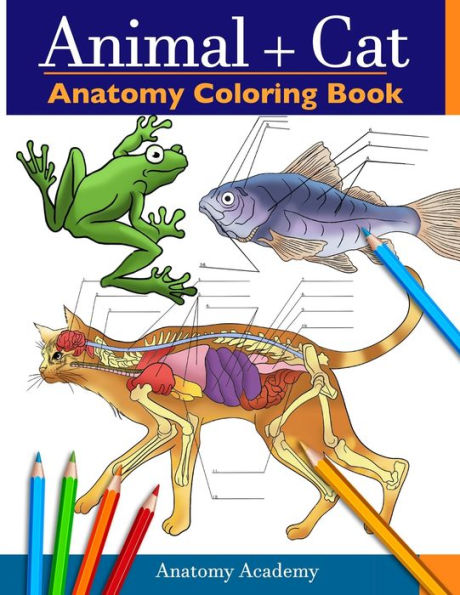 Animal & Cat Anatomy Coloring Book: 2-in-1 Compilation Incredibly Detailed Self-Test Veterinary & Feline Anatomy Color workbook