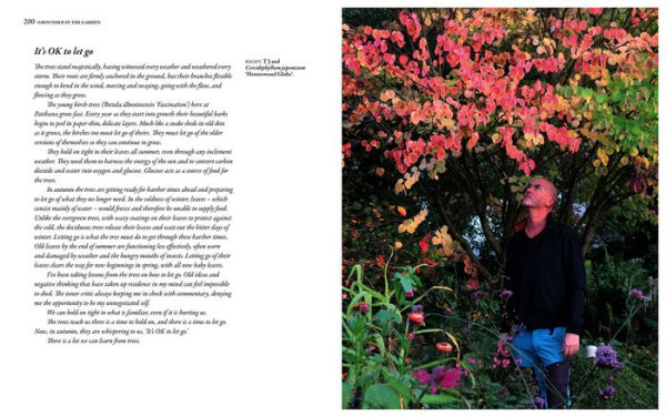 Grounded in the Garden: An artist's guide to creating a beautiful garden in harmony with nature