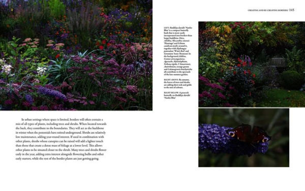 Grounded in the Garden: An artist's guide to creating a beautiful garden in harmony with nature