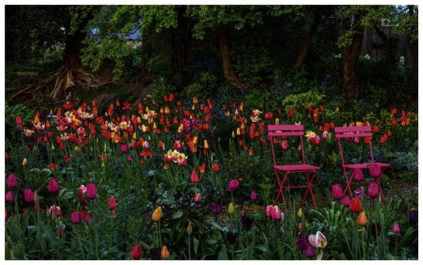 Grounded in the Garden: An artist's guide to creating a beautiful garden in harmony with nature