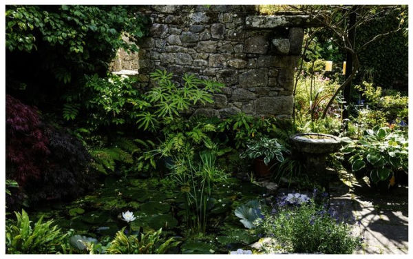 Grounded in the Garden: An artist's guide to creating a beautiful garden in harmony with nature