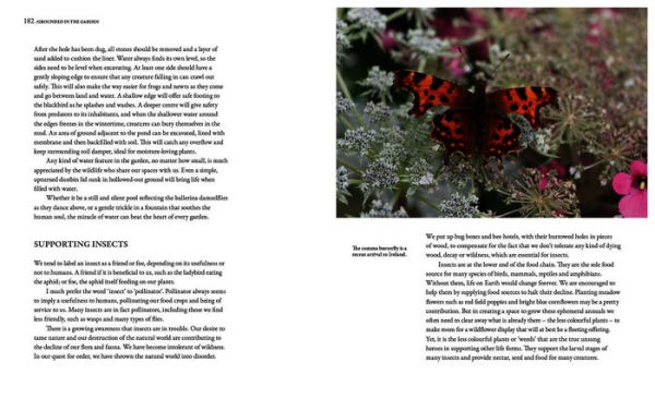 Grounded in the Garden: An artist's guide to creating a beautiful garden in harmony with nature