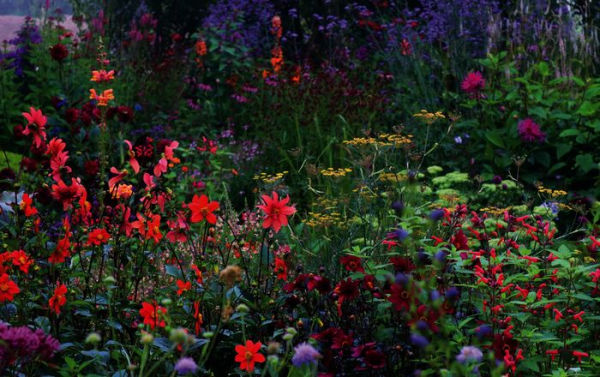 Grounded in the Garden: An artist's guide to creating a beautiful garden in harmony with nature