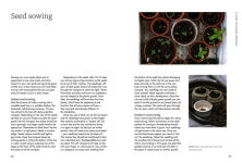 Alternative view 14 of A Floral Feast: A Guide to Growing and Cooking with Edible Flowers, Foliage, Herbs and Seeds