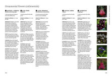 Alternative view 17 of A Floral Feast: A Guide to Growing and Cooking with Edible Flowers, Foliage, Herbs and Seeds