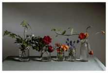 Alternative view 19 of A Floral Feast: A Guide to Growing and Cooking with Edible Flowers, Foliage, Herbs and Seeds