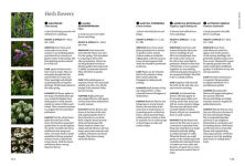 Alternative view 23 of A Floral Feast: A Guide to Growing and Cooking with Edible Flowers, Foliage, Herbs and Seeds