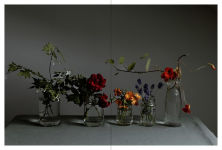 Alternative view 9 of A Floral Feast: A Guide to Growing and Cooking with Edible Flowers, Foliage, Herbs and Seeds