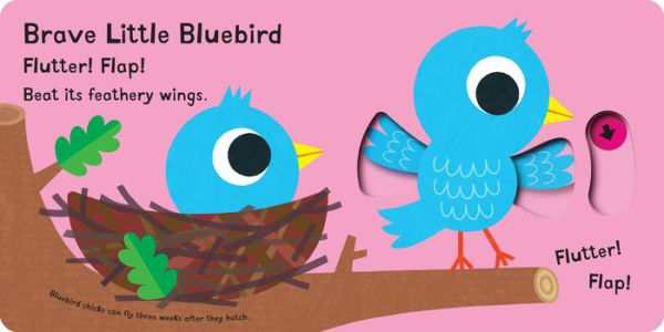 Chirp! Chirp! I'm a Chick!: A Pull Tab Book