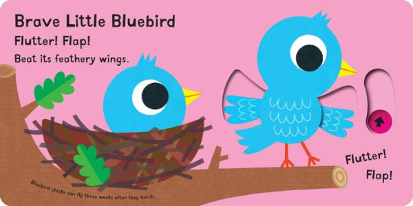 Chirp! Chirp! I'm a Chick!: A Pull Tab Book