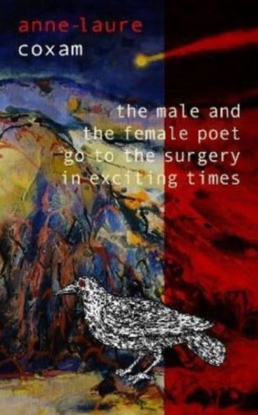The Male and the Female Poet Go to the Surgery in Exciting Times: and Other Poems