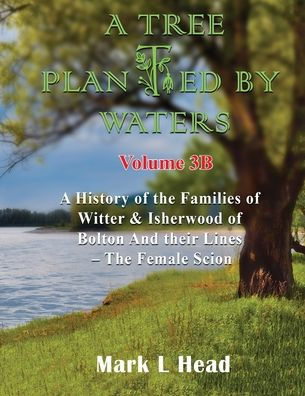 A Tree Planted By Waters: Volume 3-B