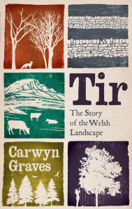 Download google books to pdf online Tir: The Story of the Welsh Landscape DJVU ePub RTF 9781915279668 by Carwyn Graves (English Edition)