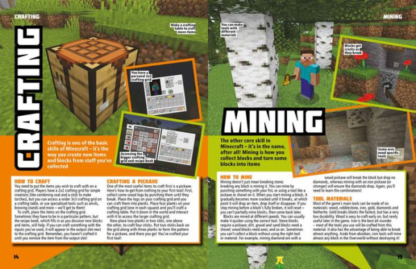 The World of Minecraft