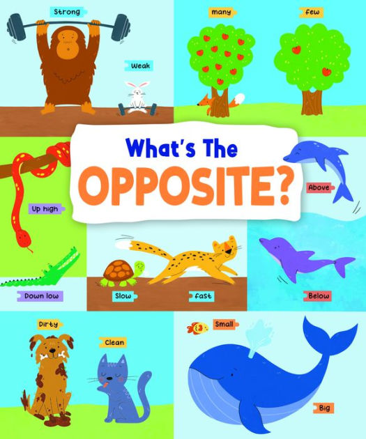 What's the Opposite?: Big and small, high and low and many more... by ...