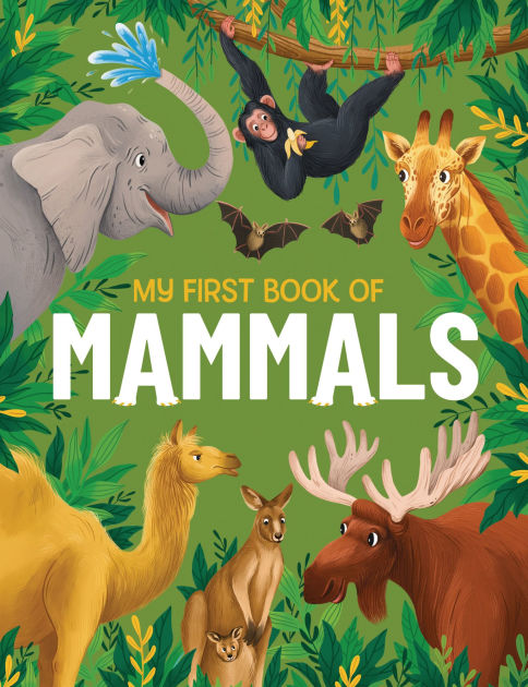 My First Book of Mammals: An Awesome First Look at Mammals from Around ...