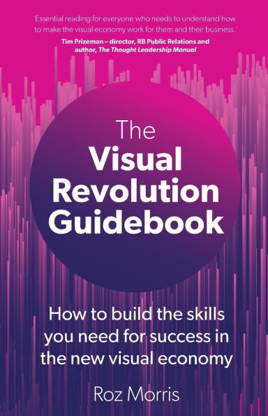the visual Revolution Guidebook: How to build skills you need for success new economy