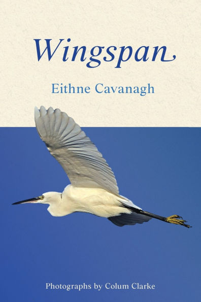 Wingspan