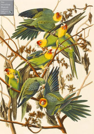 Title: Carolina Parakeets 1000 Piece Jigsaw Puzzle: A Fitzwilliam Museum Publication, Author: John James Audubon