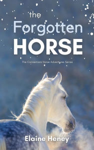 Title: The Forgotten Horse - Book 1 in the Connemara Horse Adventure Series for Kids The Perfect Gift for Children, Author: Elaine Heney