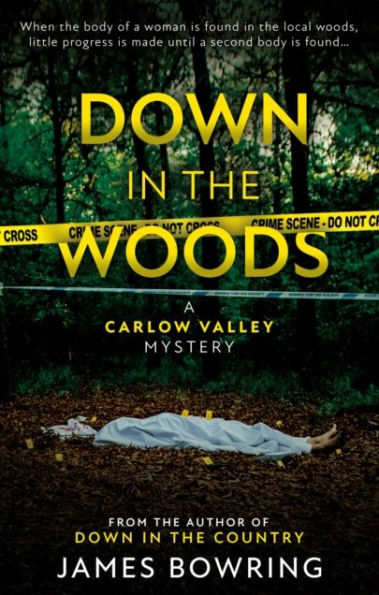 Down the Woods: A Carlow Valley Mystery