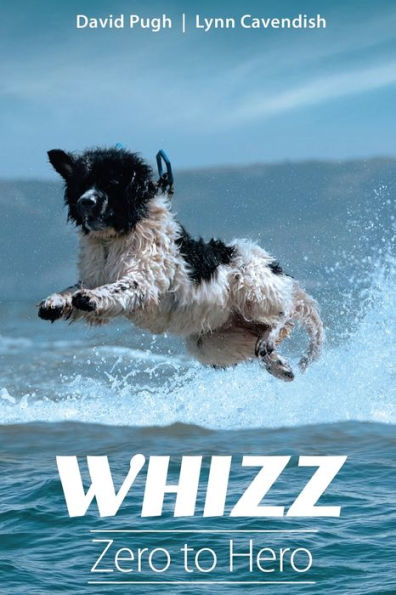 Whizz: Zero to Hero