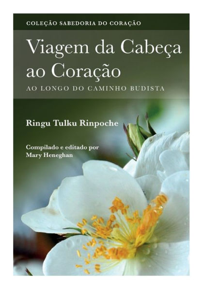 Viagem da Cabeç Ao Coração: longo do caminho Budista