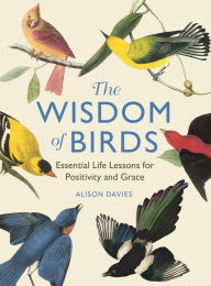 Best selling ebooks free download The Wisdom of Birds: Essential Life Lessons for Positivity and Grace by Alison Davies