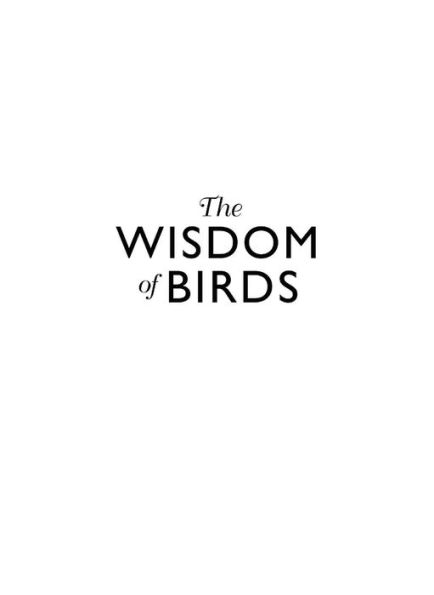 The Wisdom of Birds: Essential Life Lessons for Positivity and Grace
