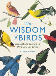 Title: Wisdom of Birds, Author: Davies