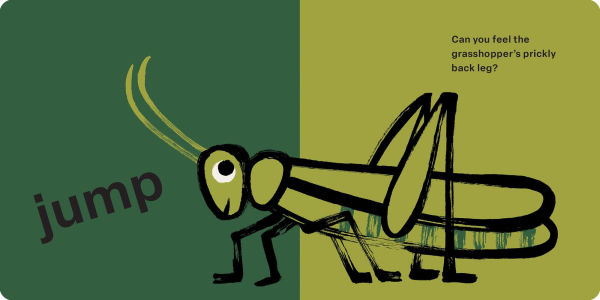 Spring Street Touch and Feel: Bugs