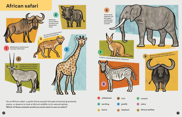 Spring Street Discover: Animals