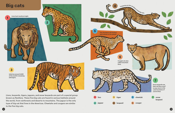 Spring Street Discover: Animals