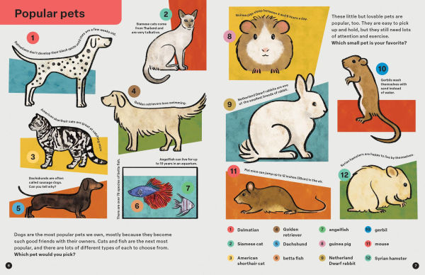 Spring Street Discover: Animals