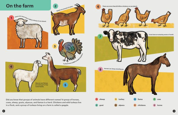 Spring Street Discover: Animals