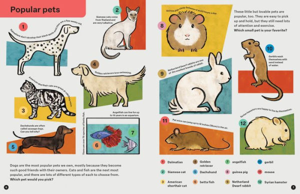 Spring Street Discover: Animals